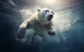 polar bear diving into frigid waters, capturing the power and grace of its hunt for food beneath the ice