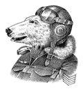 Polar bear dressed up in pilot or airman. Flyboy or skyman. Fashion Animal character sketch. Hand drawn Anthropomorphism