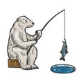 Polar Bear fishing color sketch engraving vector