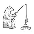 Polar Bear fishing sketch engraving vector