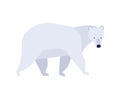 Polar bear flat vector illustration. Ursus maritimus minimalist drawing. Abstract arctic fauna representative. Cute