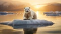 Polar Bear On Floating Iceberg: A Captivating Sunset Scene Royalty Free Stock Photo