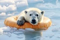 A polar bear floats on a lifebuoy in the Arctic. Glacier melting concept