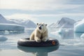 A polar bear floats on a lifebuoy in the Arctic. Glacier melting concept