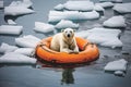 A polar bear floats on a lifebuoy in the Arctic. Global warming concept