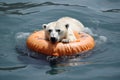 A polar bear floats on a lifebuoy in the Arctic. Global warming concept