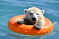 A polar bear floats on a lifebuoy in the ocean. Global warming concept