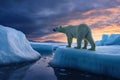 Polar Bear and global warming. Generative ai