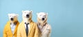 Polar bear in a group, vibrant bright fashionable outfits isolated on solid background
