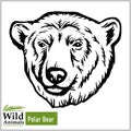 Polar Bear head mascot - bear head vector illustration in monochrome style Royalty Free Stock Photo