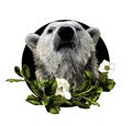 Polar bear head with serious and angry muzzle on a circle background with a composition of leaves and Magnolia flowers