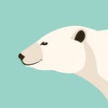Polar bear head vector illustration flat style profile Royalty Free Stock Photo