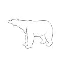 Polar bear head vector illustration Royalty Free Stock Photo