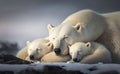 Polar bear with her twin cubs sleeping in an affectionate moment in the morning, generative AI