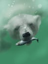 Polar bear hunting underwater Royalty Free Stock Photo