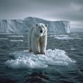 Polar bear on a ice floe in Arctic, resembling environmental change.