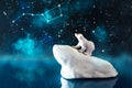Polar bear on an ice floe in the cold northern sea Royalty Free Stock Photo