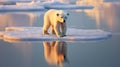 a polar bear on ice floe. generative ai Royalty Free Stock Photo