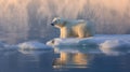 a polar bear on ice floe. generative ai Royalty Free Stock Photo