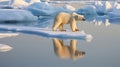 a polar bear on ice floe. generative ai Royalty Free Stock Photo