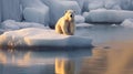 a polar bear on ice floe. generative ai Royalty Free Stock Photo