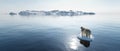 Polar bear on ice floe. Melting iceberg and global warming Royalty Free Stock Photo