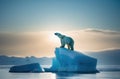 A polar bear on an ice floe in the middle of the ocean. A melting iceberg and global warming. Climate change Royalty Free Stock Photo