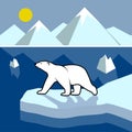 Polar bear on an ice floe, polar landscape.