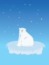 Polar Bear on Iceberg