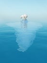 Polar bear on iceberg Royalty Free Stock Photo