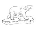 polar bear. Hand drawn illustrations. Vector sketch Royalty Free Stock Photo