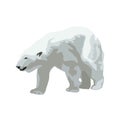 Polar bear, isolated vector illustration Royalty Free Stock Photo