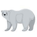 Polar bear isolated on white background. Vector graphics Royalty Free Stock Photo
