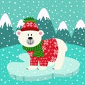 Polar bear in knitted sweater and cap on ice floe