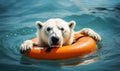 Polar bear on a lifebuoy. Habitat loss concept