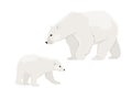 Polar bear mother Ursus maritimus and her cub. Wild animals of the North Pole. Royalty Free Stock Photo