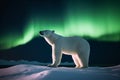 Polar bear with Northern Lights, Aurora Borealis. Night image with stars, dark sky. Generative AI. Royalty Free Stock Photo