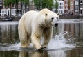 Polar bear pees in the canal of Amsterdam, AI-generated.