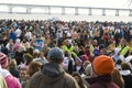 Polar Bear Plunge