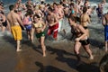 Polar Bear Plunge Royalty Free Stock Photo