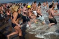 Polar Bear Plunge