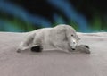 Polar Bear Resting Royalty Free Stock Photo