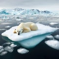 Polar bear rests on a very small ice field in a dwindling environment