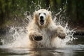 polar bear shaking off water after emerging from a cold swim