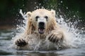 polar bear shaking off water after emerging from a cold swim