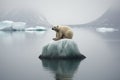 A polar bear sitting on an iceberg in the Arctic, showcasing the beauty and harshness of its natural habitat, Poignant image of a Royalty Free Stock Photo