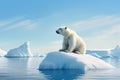 A Polar Bear, Floating on small Iceberg