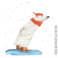 Polar Bear skate in the snow