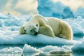 Polar bear sleeping on an ice floe, Generative AI Royalty Free Stock Photo