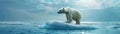 Polar bear on a small ice floe in a vast ocean, symbolizing the impact of global warming on arctic life , Prime Lenses